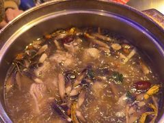 -千岛蚝高压锅生蚝·人参火锅(白云万达店)