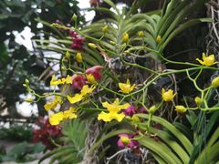 -北京植物园-展览温室