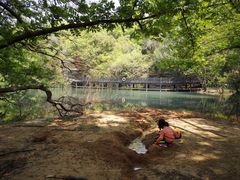 -白马涧龙池景区