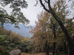 -广州市石门国家森林公园