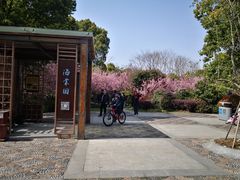 -昆山城市生态森林公园