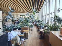 -Seesaw Coffee(朝阳大悦城店)