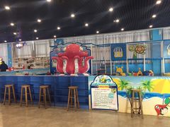 游乐场（西安的景点设计者啥时候能长大）-华夏文旅海洋公园