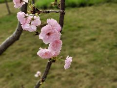 -恒大世纪梦幻城