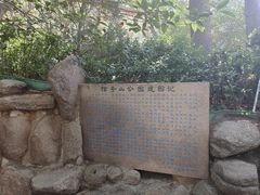 -信号山公园