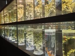 -广东中医药博物馆