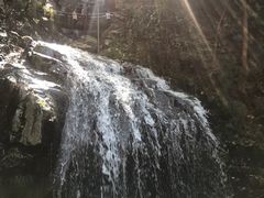 -藏龙百瀑风景区