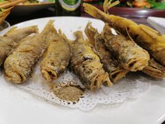 -鸿运美食府