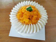 -Tomado绿色烘焙(大尧三路店)