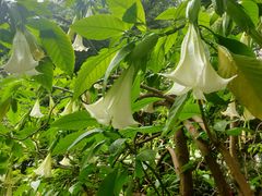 -成都市活水公园