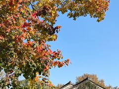 -老门东历史文化街区