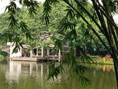 -晓港公园