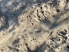 -北海金海湾红树林生态旅游区