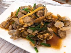爆炒花蛤-金海湾海鲜排档(朱家尖店)