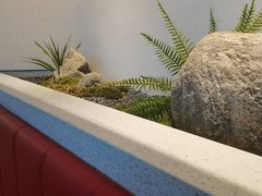 -蜜桃餐厅·伴山(绿宝广场店)