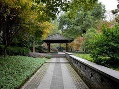 -杭州植物园