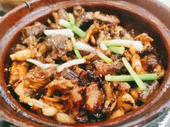 -红星光发煲仔饭(文海店)