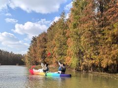 -上海海湾国家森林公园