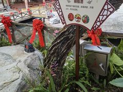 -河源客天下-温泉小镇