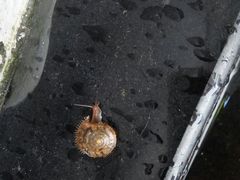 -上海佘山国家森林公园西佘山园