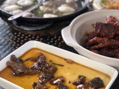 蕈油蒸蛋-张鸟园农家乐(张鸟园店)