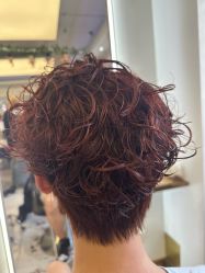 -镁连社·美联社