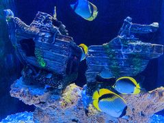 -成都浩海立方海洋公园