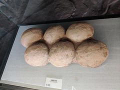 -湖南省地质博物馆