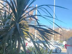 -食悦江南·淮扬菜·烤鸭(亚运村·惠新店)