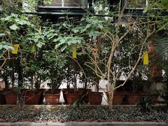 -天宫南铂玫瑰园酒店