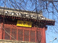 -大槐树寻根祭祖园