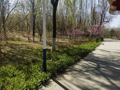 -秀水公园