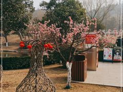 -鹦鹉寺公园
