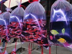 -华声天桥民俗文化园