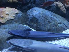 -成都浩海立方海洋公园