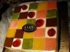 -维尔纳斯·生日蛋糕动物奶油冰淇淋蛋糕(人大店)