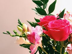 -植物学家的女儿(北马道巷店)