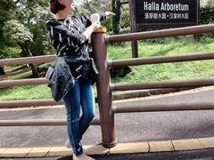 -汉拿树木园