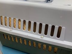 -申普宠物医院·心脏介入·心血管微创(总院)