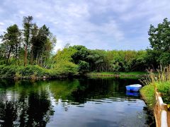 -上海共青森林公园