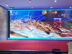 -悦鼎汇海鲜姿造
