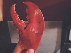 -斯普汇生蚝牛排馆(中骏世界城店)
