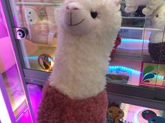 -PAWTOY爪e玩偶店(天兴罗斯福店)