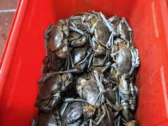 -老财炒饭·熟地蟹·冬瓜蟹