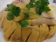 白切鸡-东山羊庄(八卦岭店)