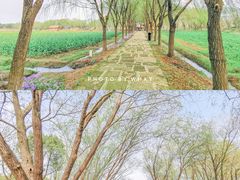 -长兴太湖图影湿地文化园