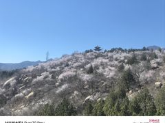 -白水寺森林公园