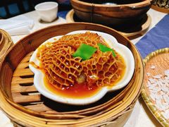-点都德·毕德寮