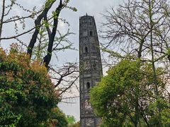 -上海佘山国家森林公园天马山园