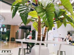 -CoCo都可(崇川万象城店)